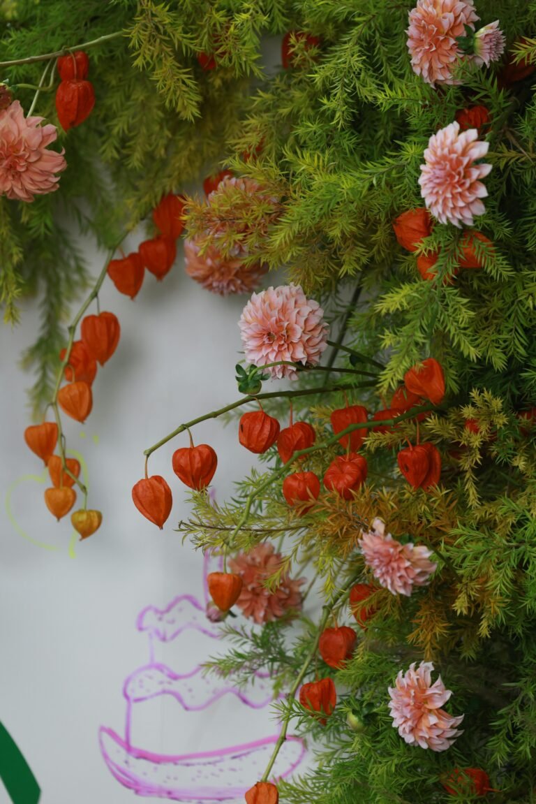 Outdoor Garden Plants