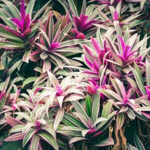 pexels-chris-f-38966-6664377