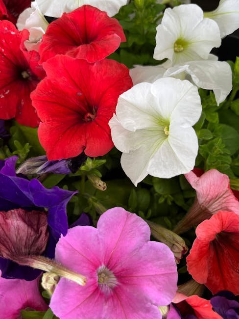 Beautyberry (pink flowers)
