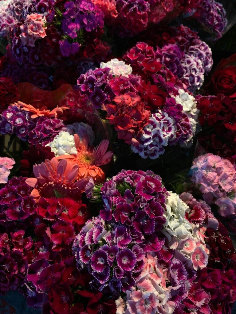 Flowering Pink Plants